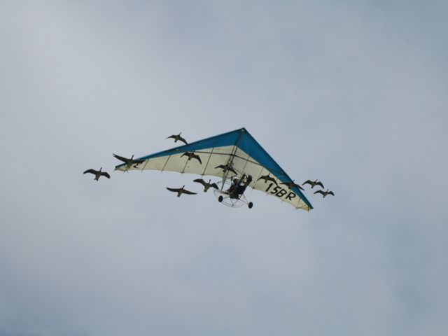 Flugtag050814-011